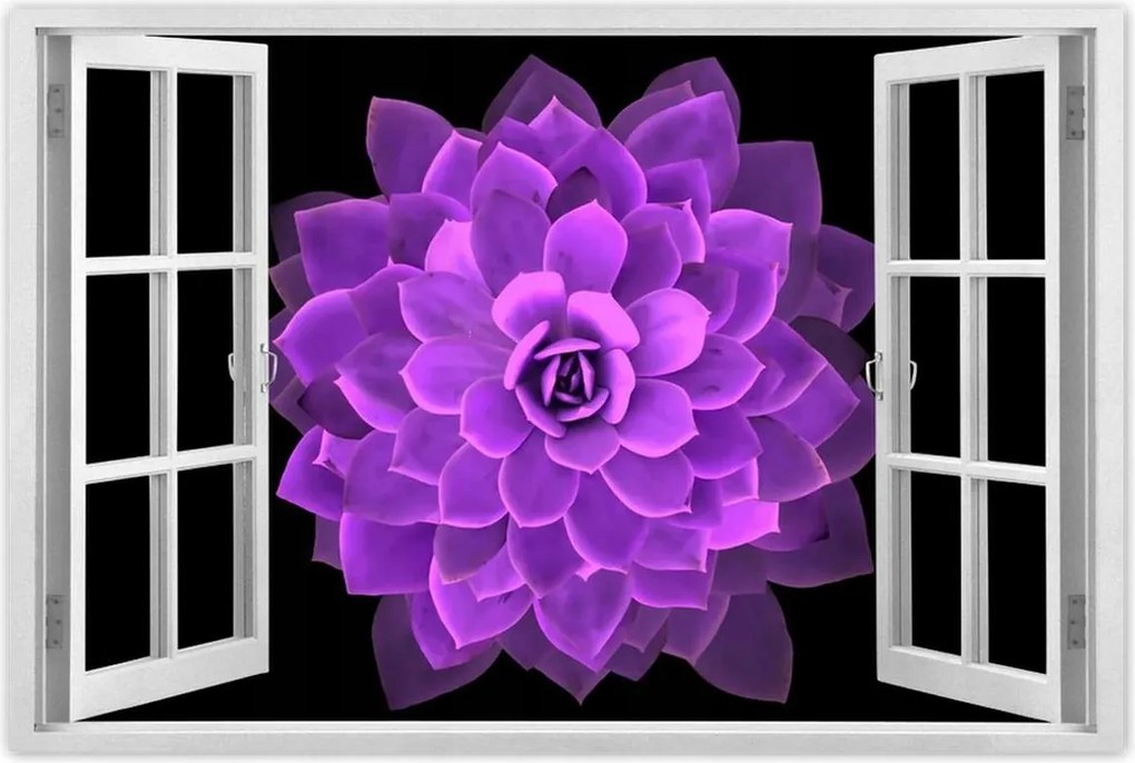 Poszterek 90x60 Találkozás a virággal