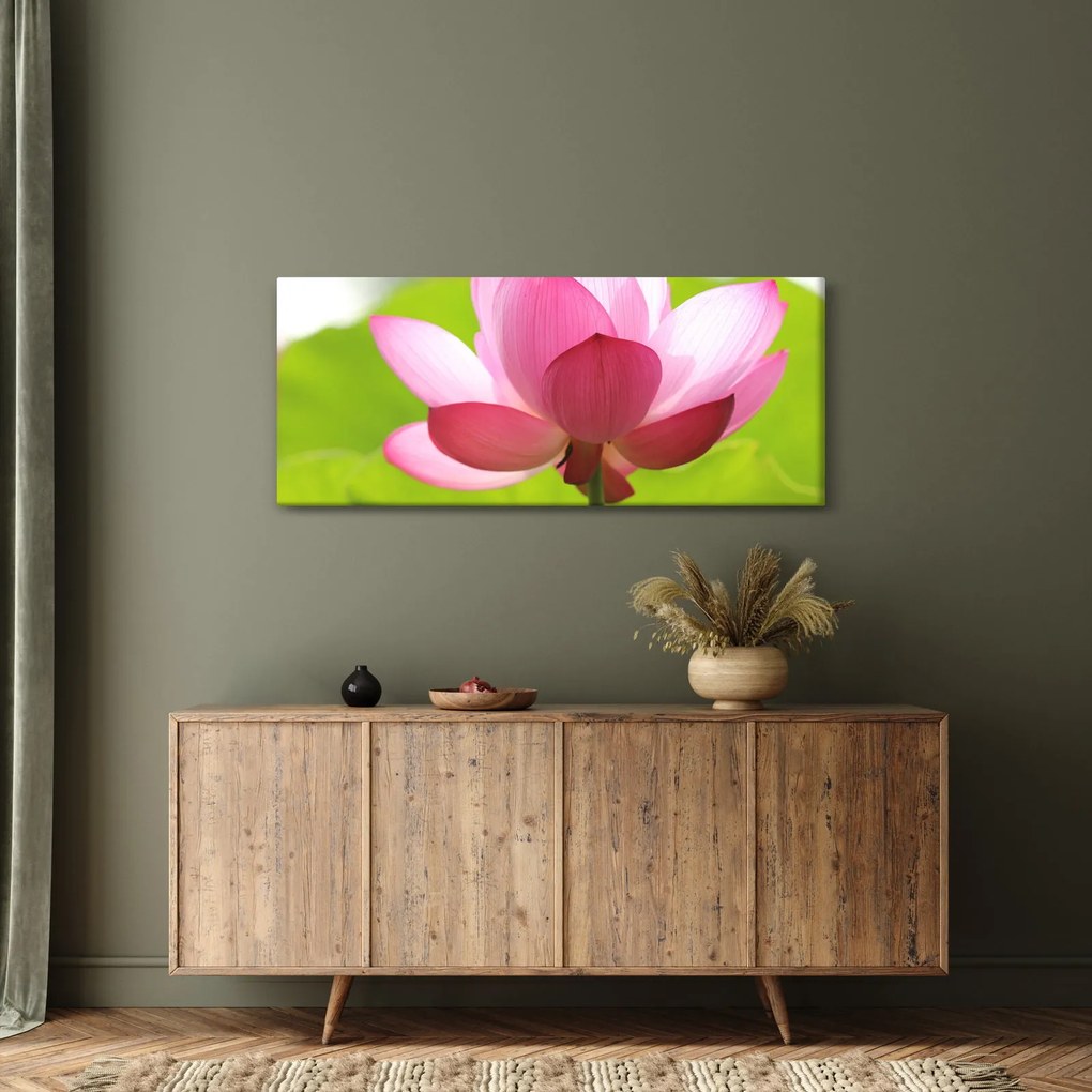 Lótuszvirág kép (120x50 cm)