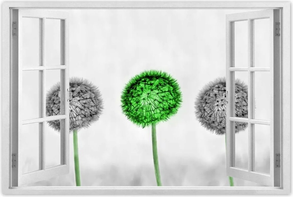 Poszterek 90x60 Pitypangok