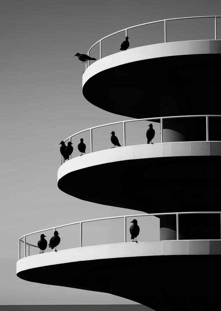 Poszter 67,5x95cm Holló árnyalatok