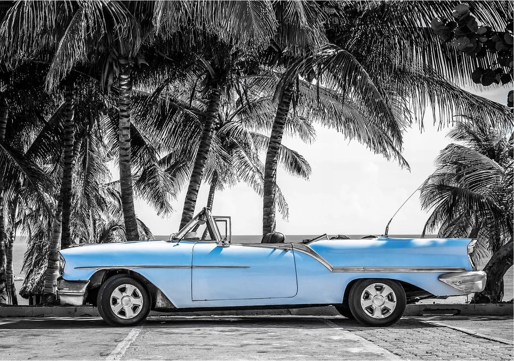 Fotótapéta Kabrió pálmafák retro szürke vinil kék 254x184 +ragasztó