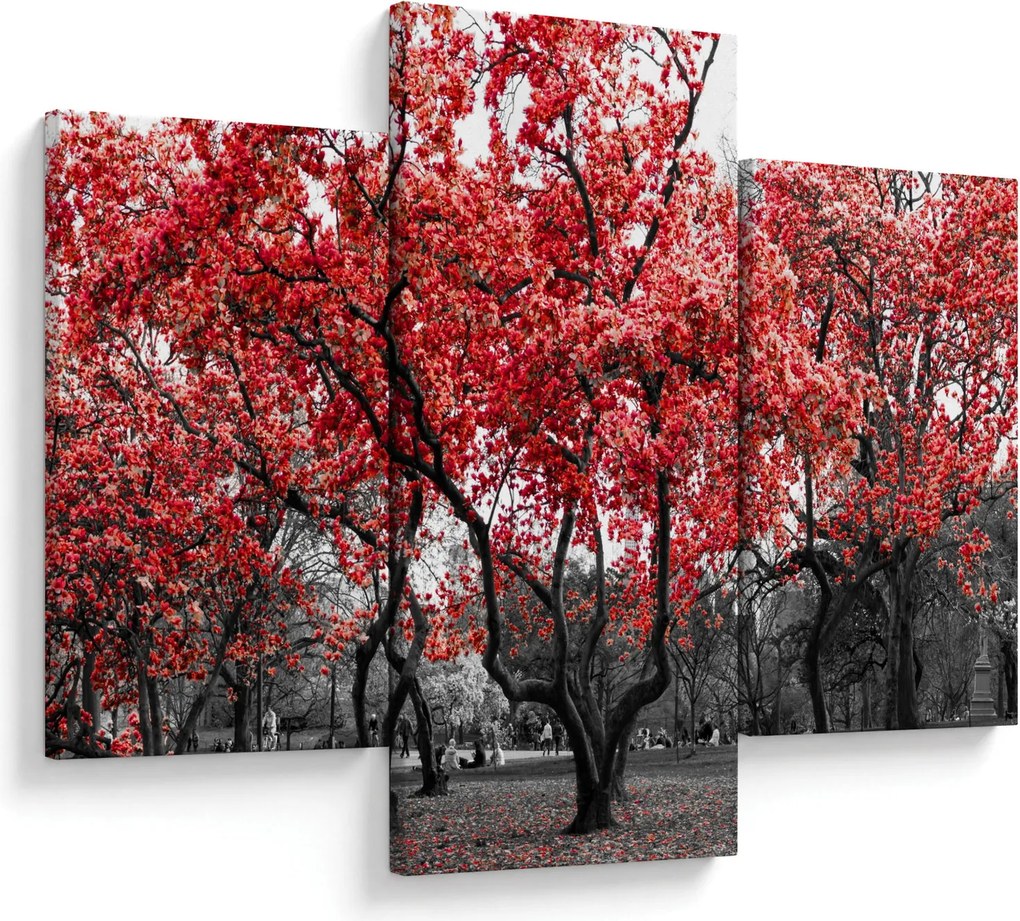 Kép - vörös fák, Central Park, New York (90x60 cm)