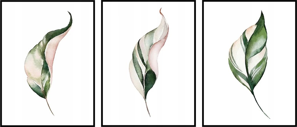 Triptichon Poszterek 40x50 sorozat 3 db-os kép szett levelek
