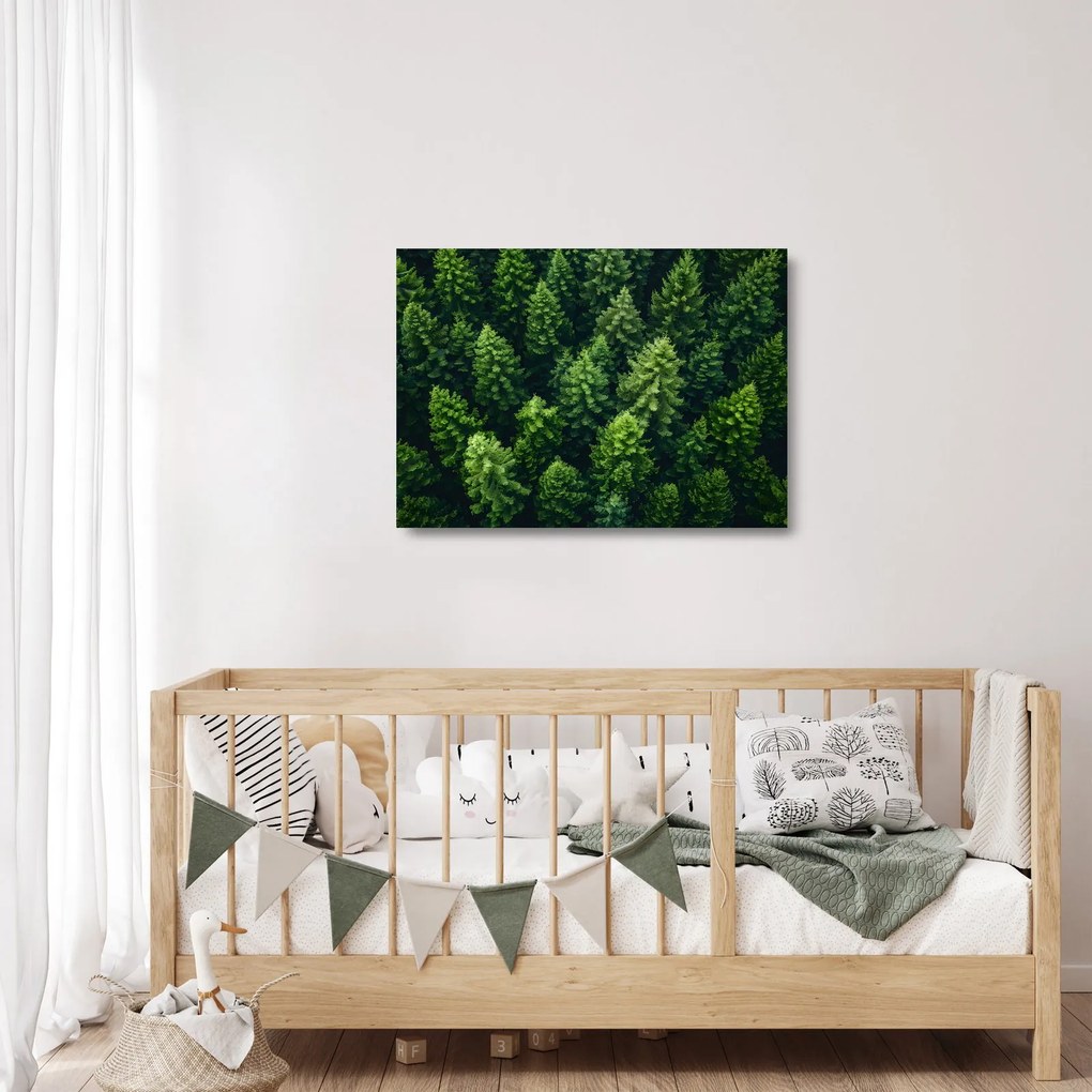 Üveg kép - Forest (70x50 cm)