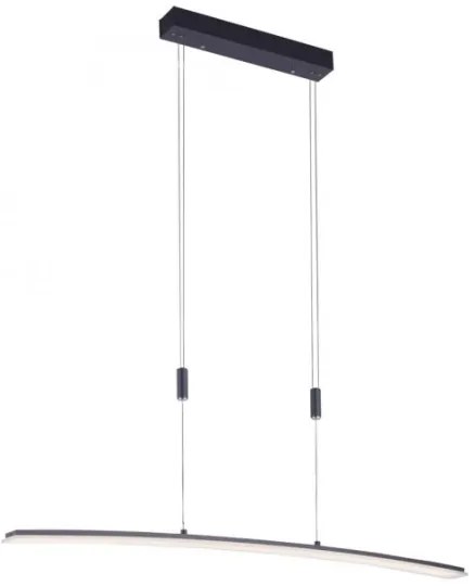 Paul Neuhaus 2530-13 - LED Dimmelhető csillár zsinóron JANINA LED/27W/230V