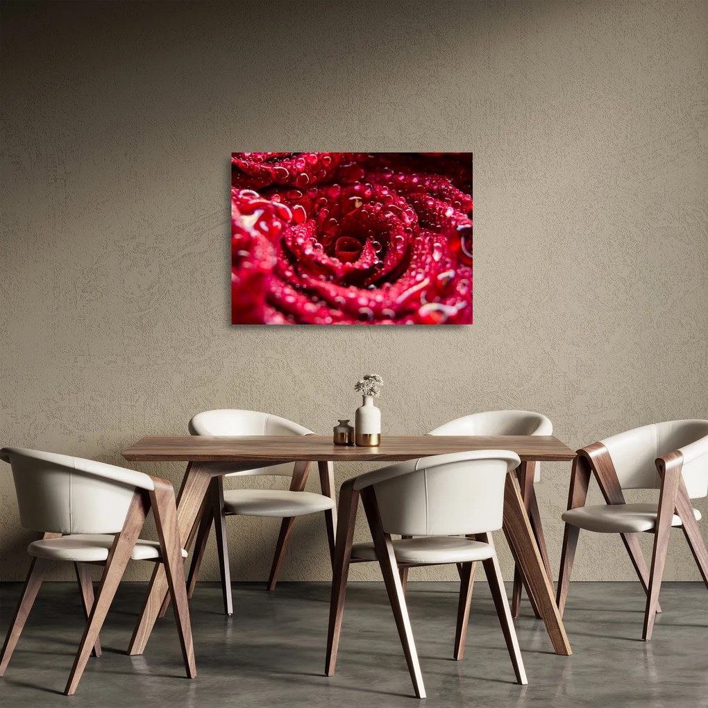 Vörös rózsa virágzata képe (üvegen) (70x50 cm)