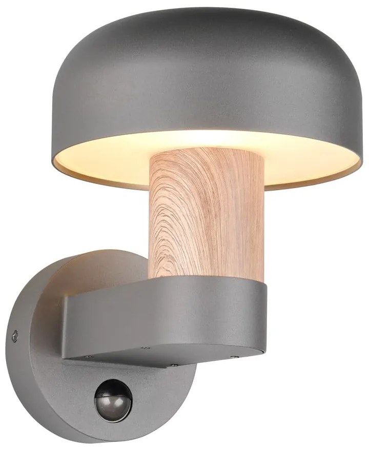 Fali kültéri lámpa (magasság 24,5 cm) Fraser – Trio