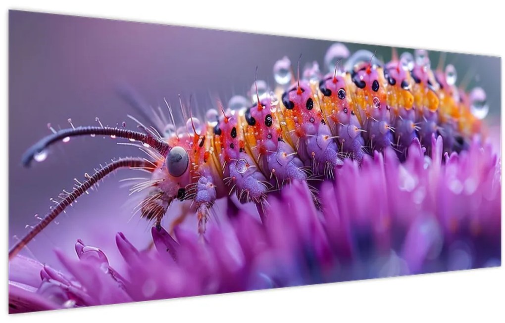 Kép - Caterpillar (120x50 cm)