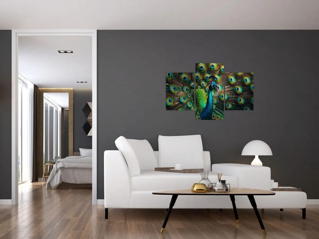 Kép – Pávatoll (90x60 cm)