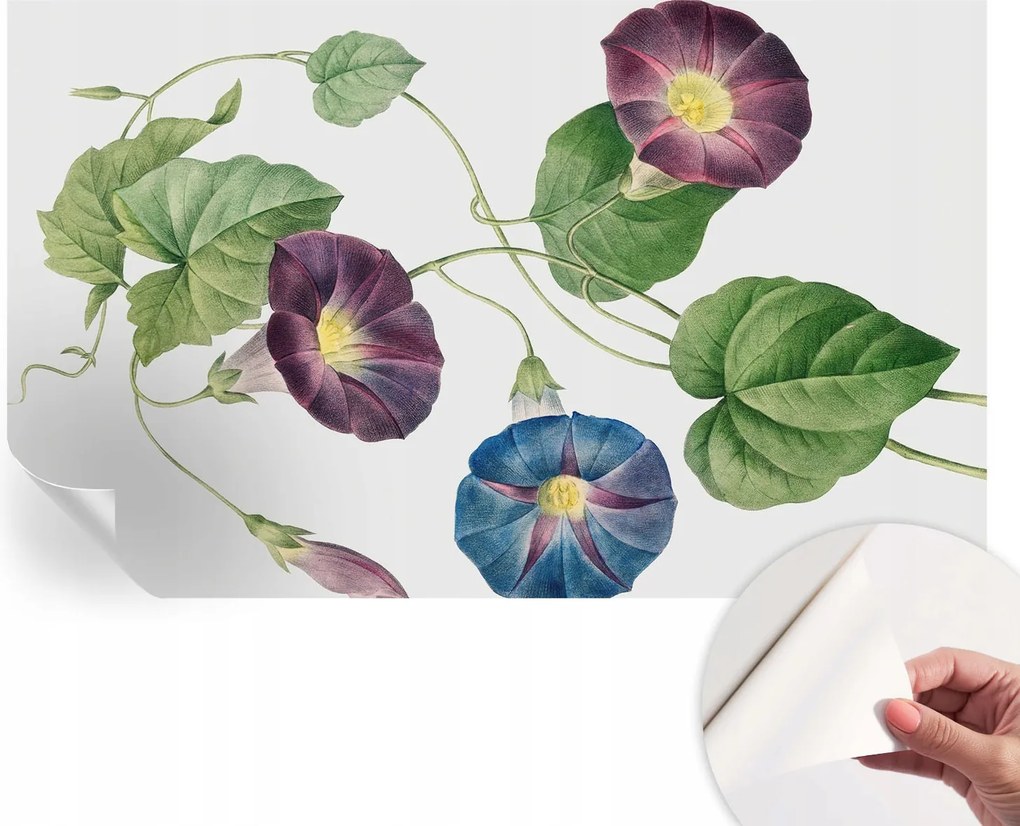 Fali fotótapéta Hálószoba Nappali Virágos elegancia 416x254 cm