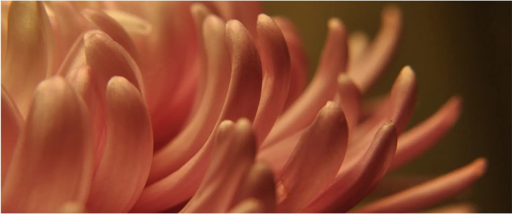 A virág részletének képe (120x50 cm)