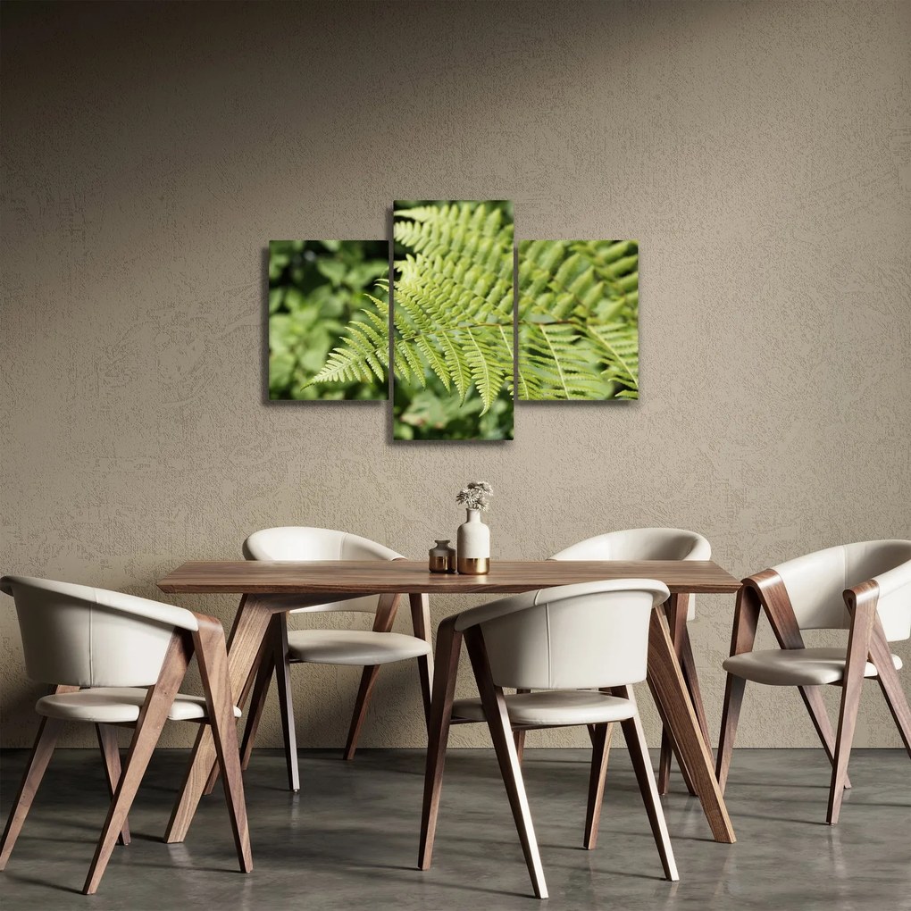 Kép - Páfránylevél (90x60 cm)