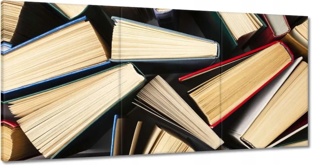 Vászonkép 60x30 Könyvek motívum a nyelvterembe p
