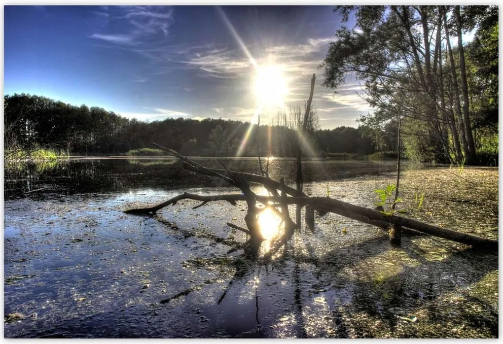 Poszterek 185x125 Naplemente a tóparton