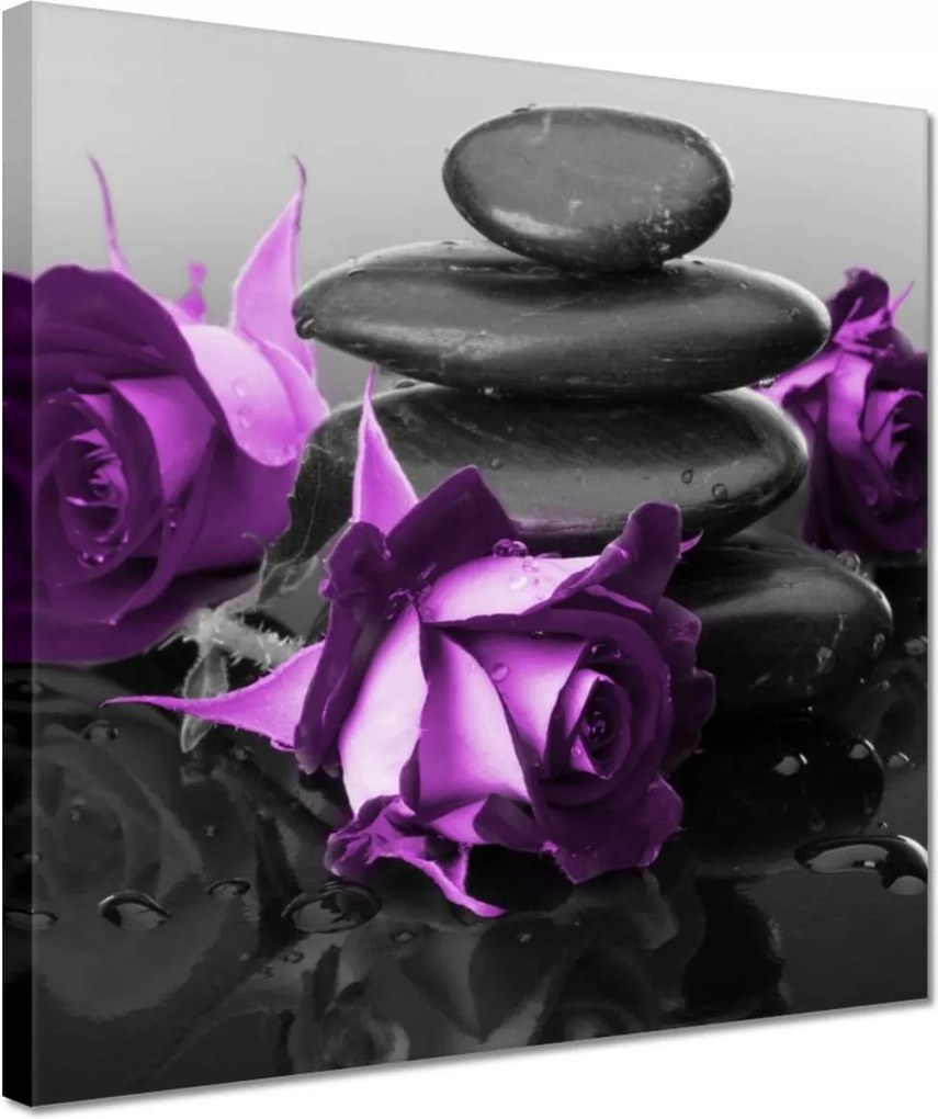 Vászonkép 30x30 Lila rózsák Spa kő