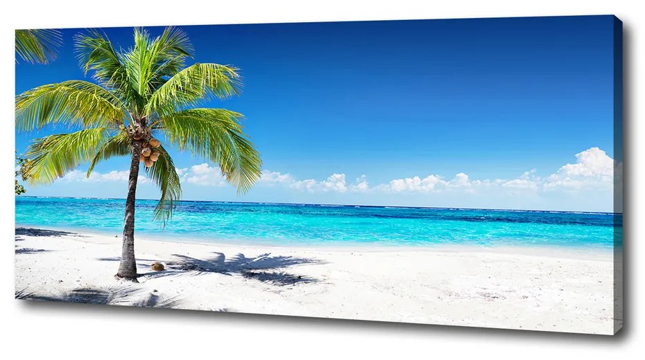 Feszített vászonkép Trópusi tengerpart pl-oc-125x50-f-102463727