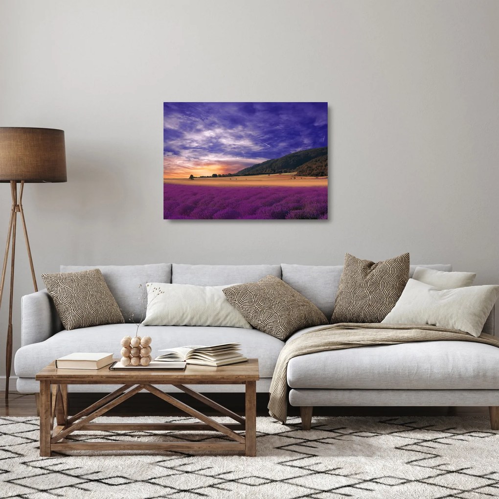 A levendula rét képe (üvegen) (70x50 cm)