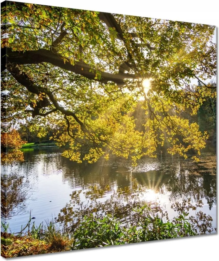 Vászonkép 40x40 Tájkép