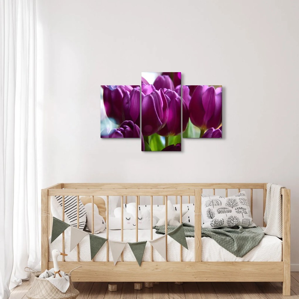 Tulipán képe (90x60 cm)