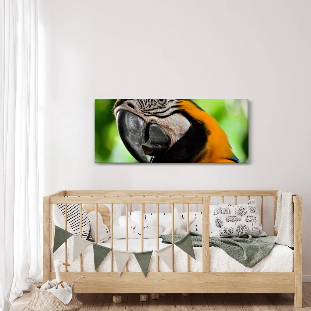 Papagáj képe (120x50 cm)