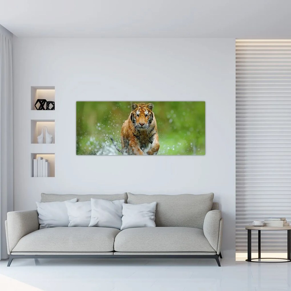 Kép - Futó tigris (120x50 cm)