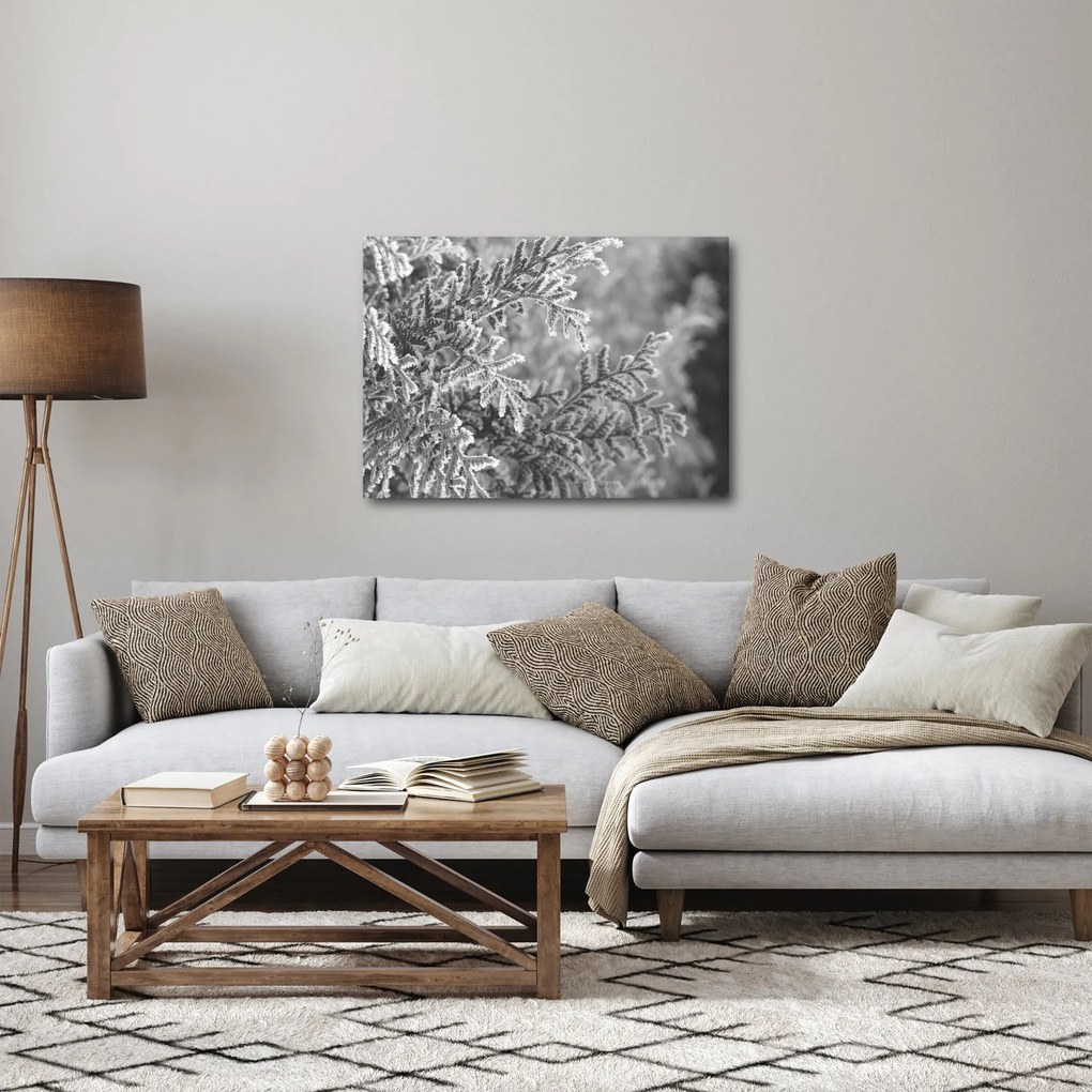 Kép - Lucfenyő erdő (70x50 cm)