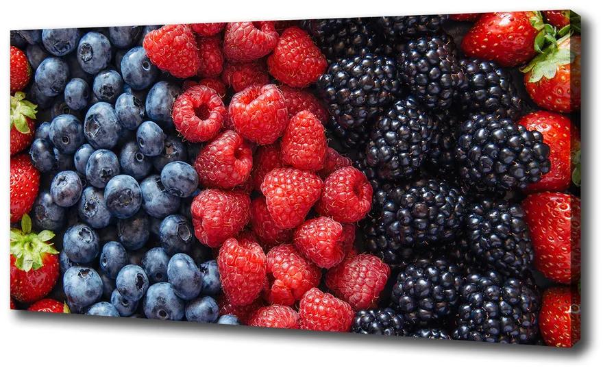 Feszített vászonkép Erdei gyümölcsök pl-oc-100x50-f-88601992