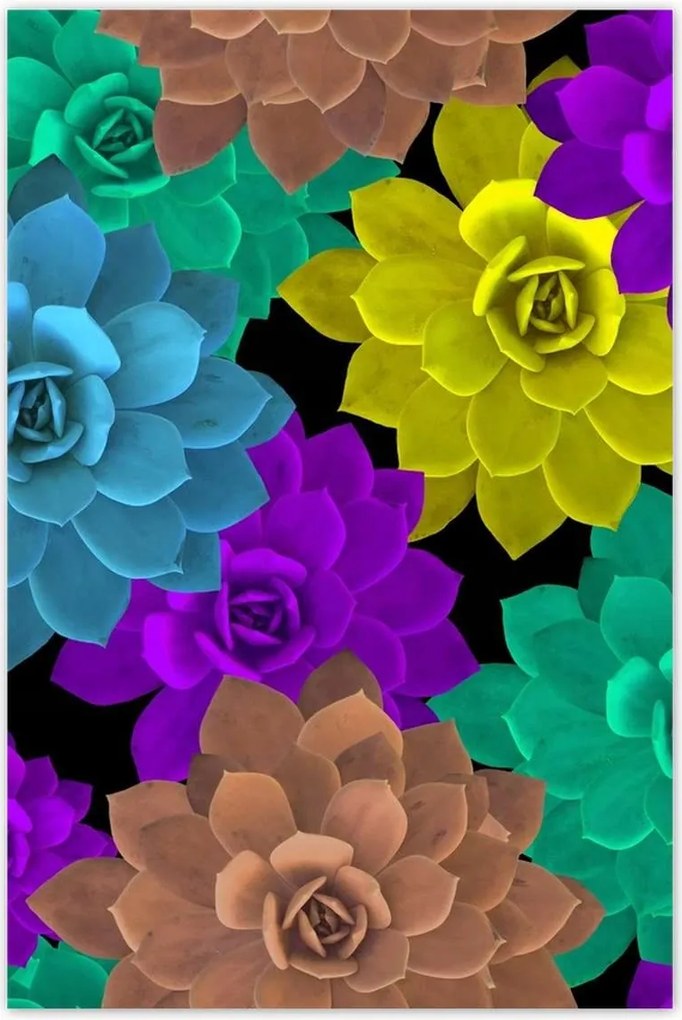 Poszterek 80x120 Színes virágok Virágok