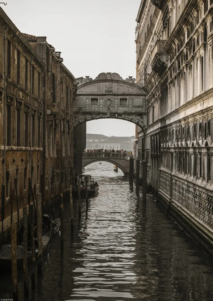 Poszter 29,7x42cm Kilátóhíd, Assaf Frank