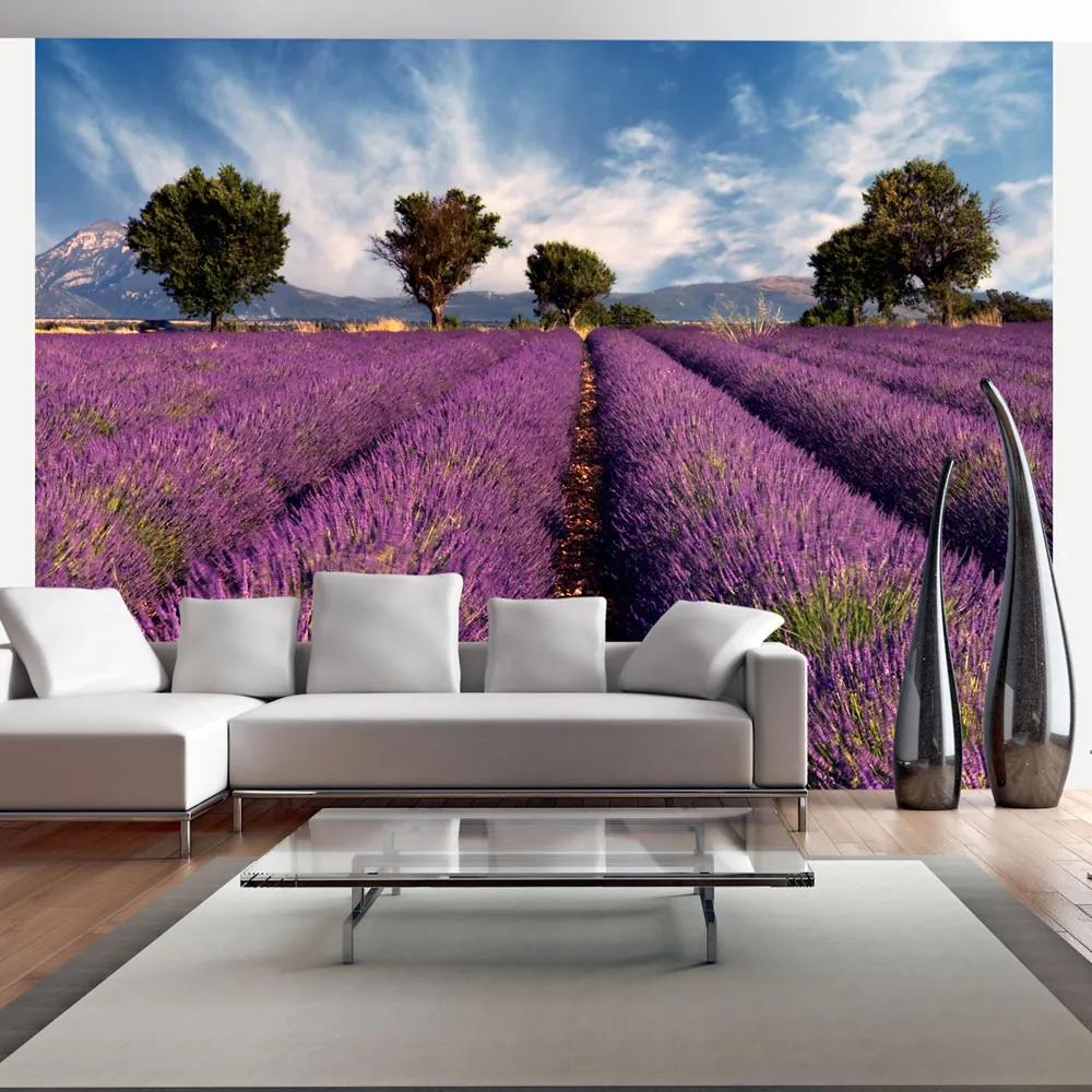Fotótapéta - Lavender field in Provence, France