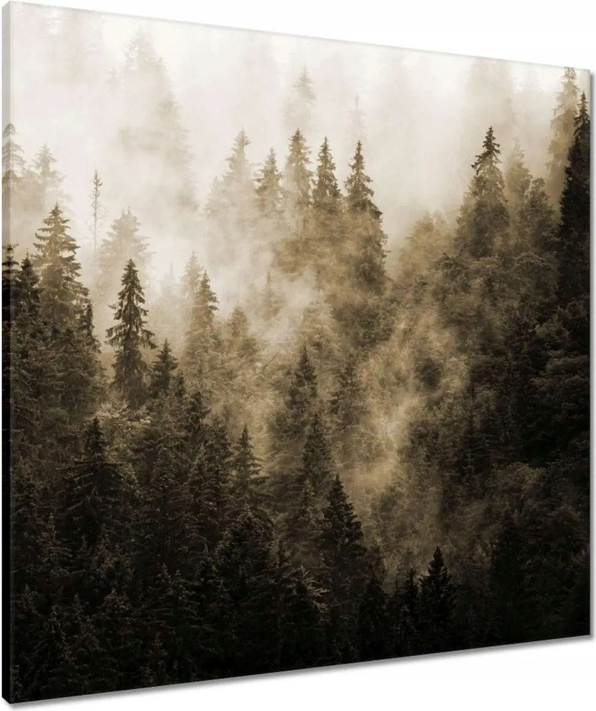 Vászonkép 70x70 Tájkép Szépia Hegyek Köd