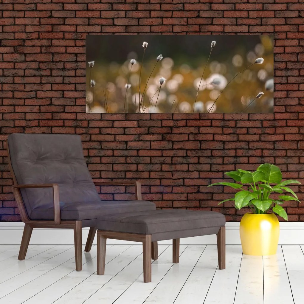 Kép - Gyapotfűvel borított rét N⁰2 (120x50 cm)