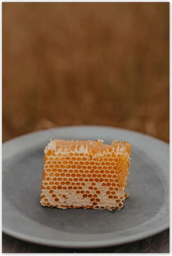 Poszterek 80x120 Méz Méhészet