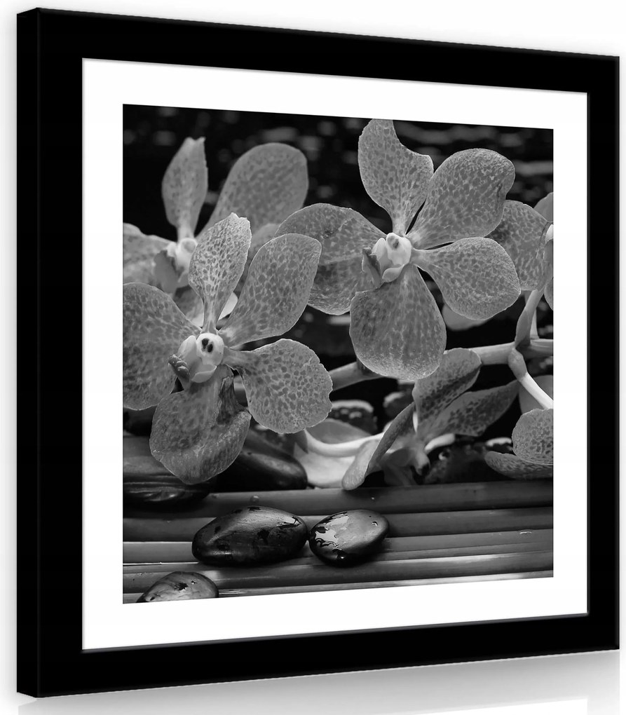 Vászonkép 40x40 Orchideák virágok szirmok kövek bambusz nyugalom természet