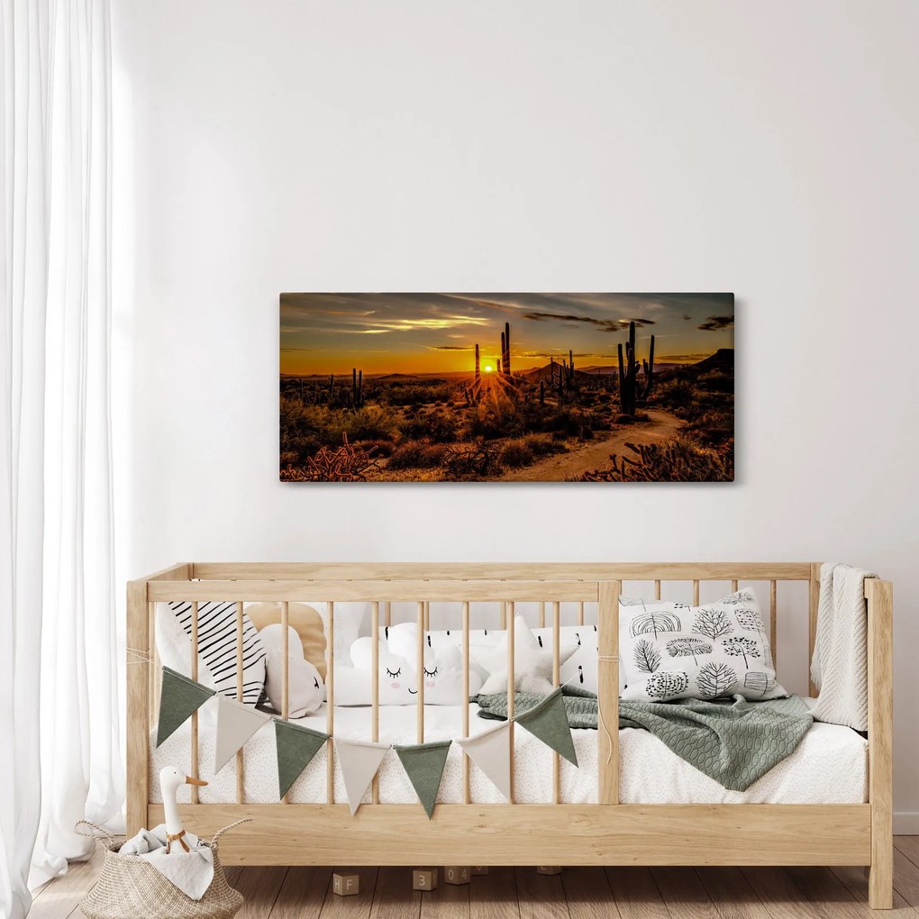 Kép - A nap vége az arizonai sivatagban (120x50 cm)