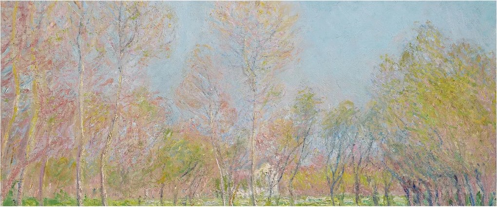 Fotótapéta Flizelin Dekoratív Iroda Tavaszi park 250x104 Ragasztó