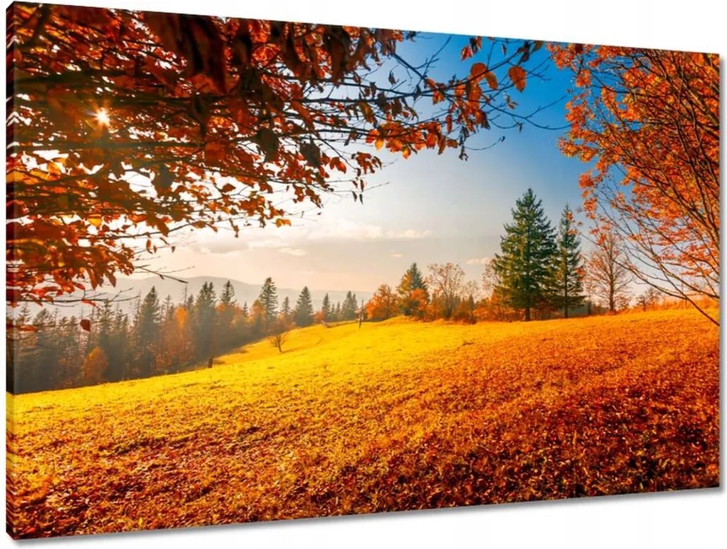 Vászonkép 90x60 Őszi táj hegyek