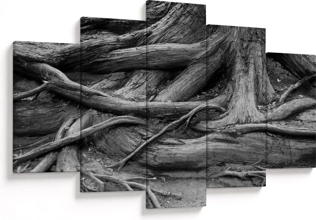 Kép - A fa gyökerei (150x105 cm)