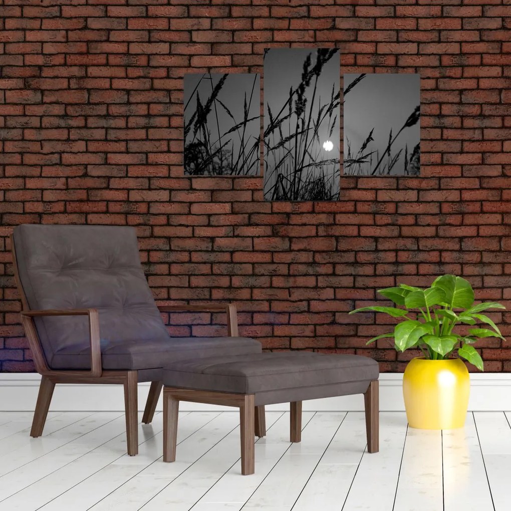 Kép - rét naplementével (90x60 cm)