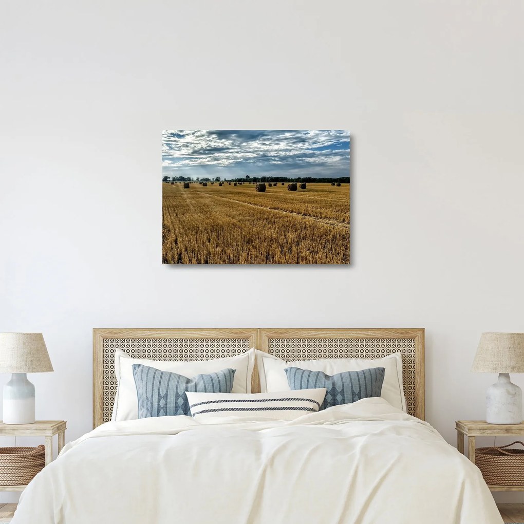 Betakarított gabona mező képe (üvegen) (70x50 cm)