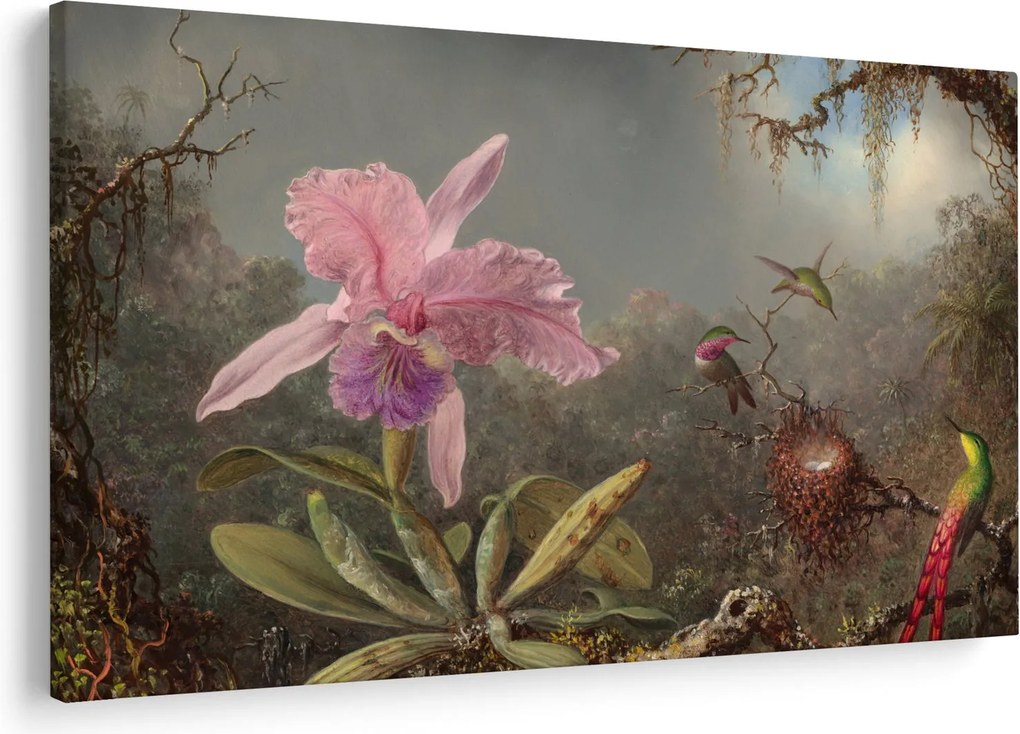 Kép - Martin Johnson Heade, Cattleya Orchid and Three Hummingbirds, reprodukciók (90x60 cm)