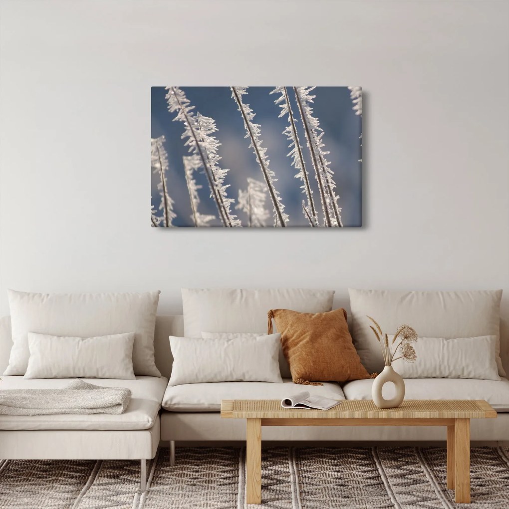 Kép - Fagy (90x60 cm)