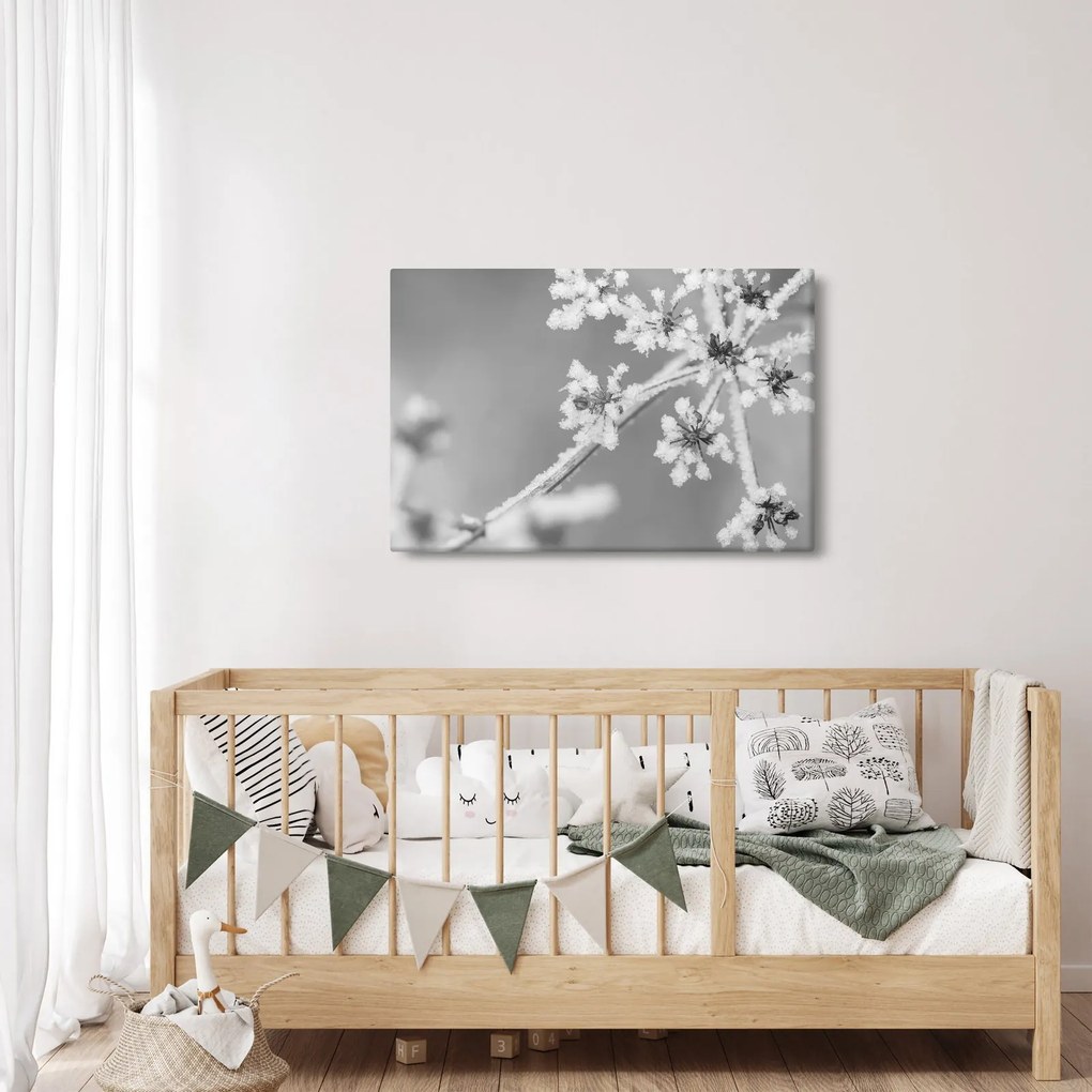 Kép - Fagyasztott növény (90x60 cm)