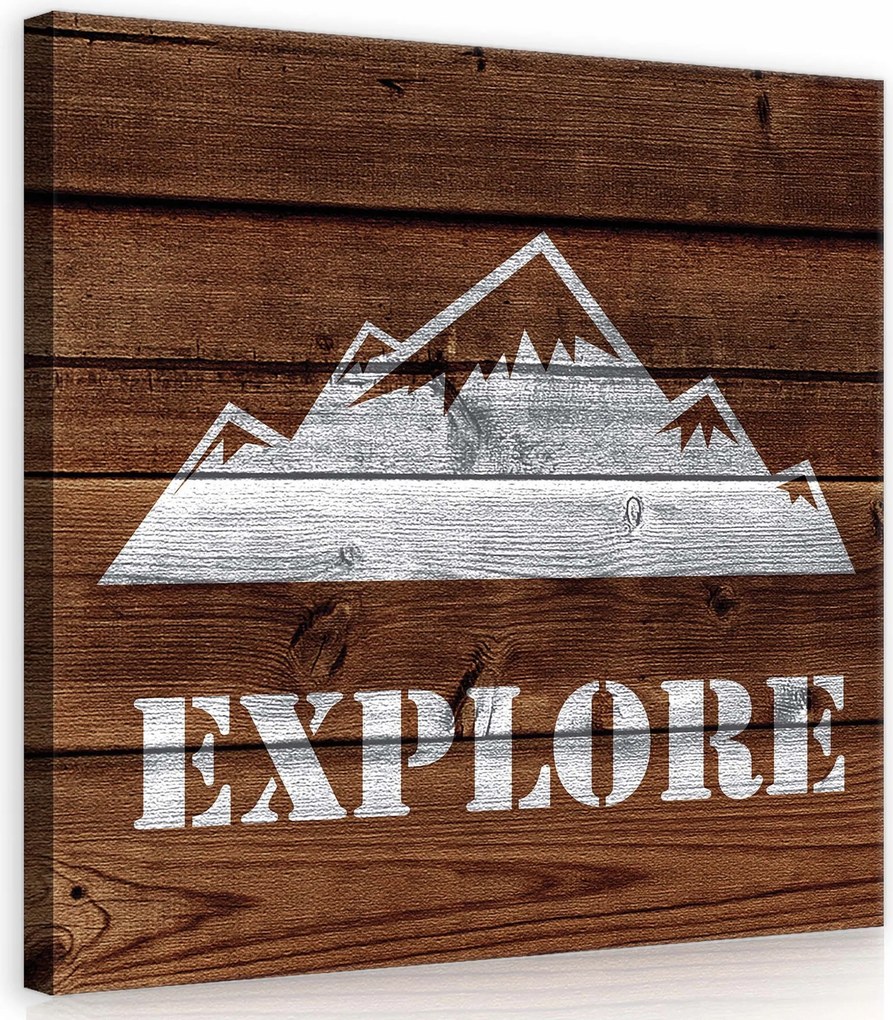 Vászonkép 40x40 Hegyek felfedezése fa rusztikus kaland természet utazás
