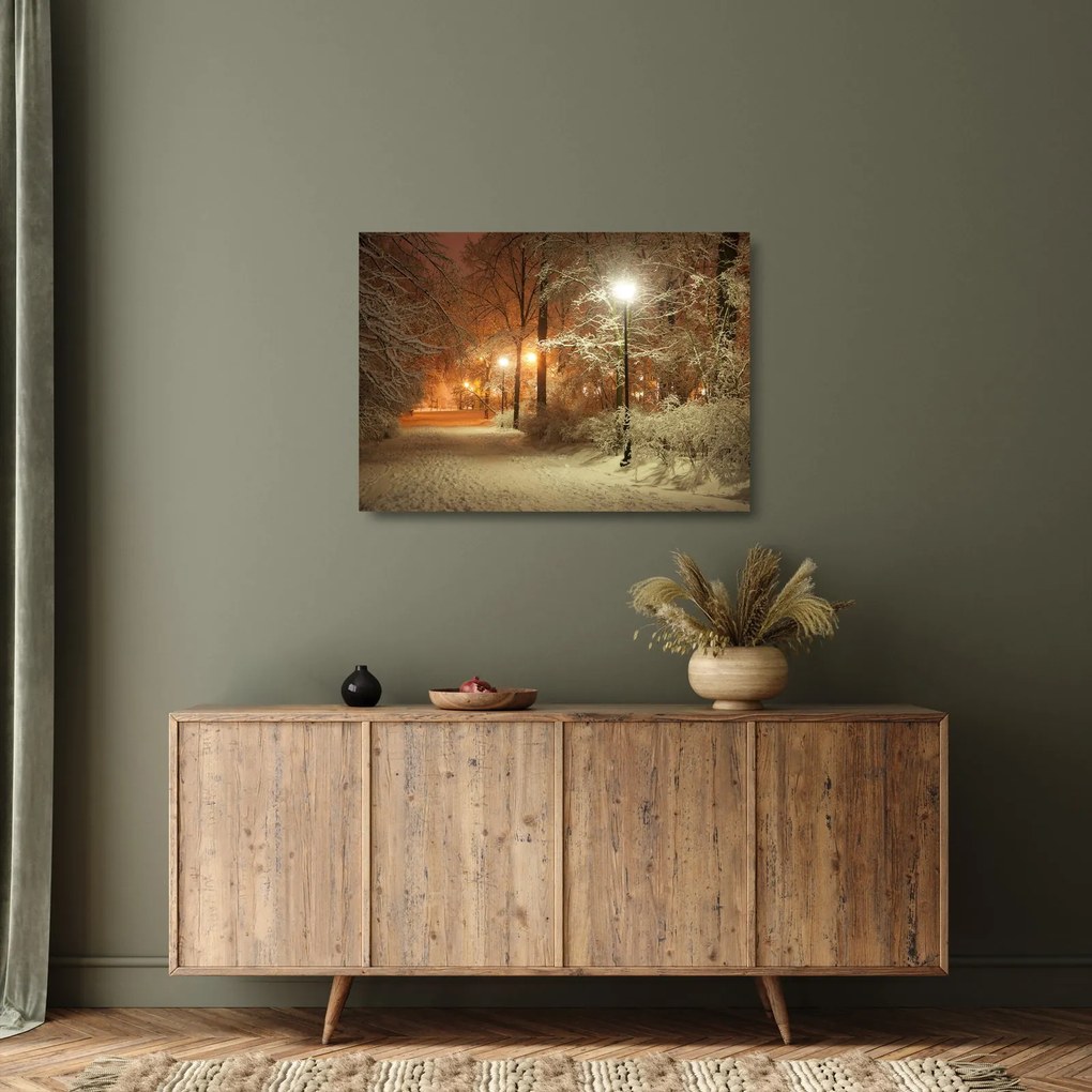 Kép - havas park (üvegen) (70x50 cm)