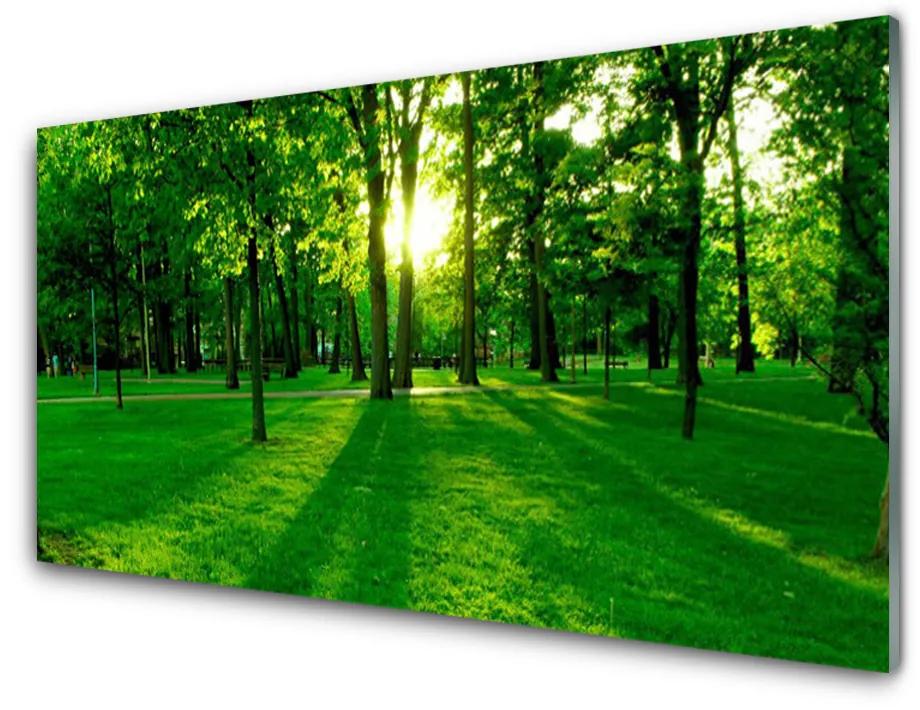Fali üvegkép Forest Park Természet 100x50 cm