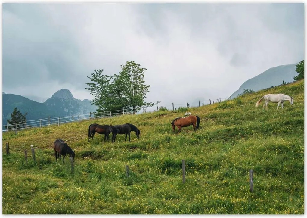 Poszterek 100x70 Tájképek Kilátások Tájképek