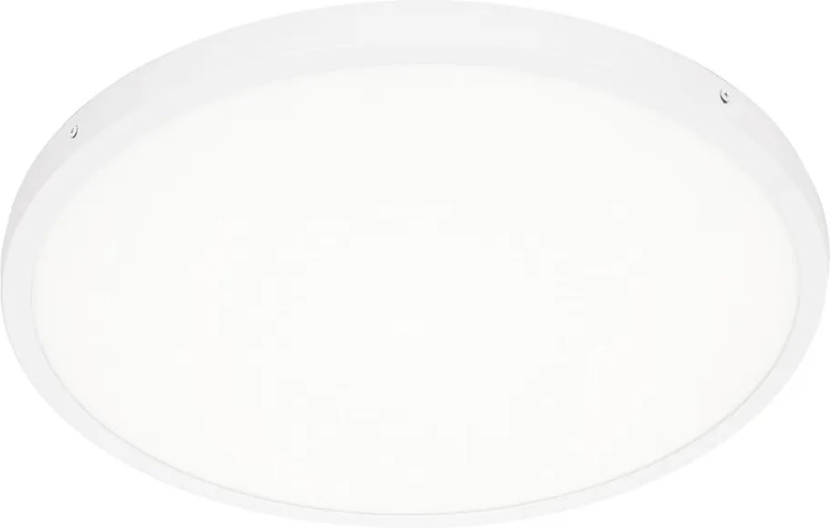 Italux Modern Mennyezeti lámpa Pelaro Fehér ITXPLF-7001-50R-WH4K