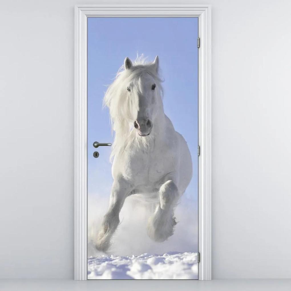 Fotótapéta ajtóra - Fehér ló (95x205cm)