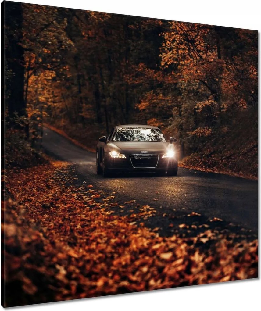Vászonkép 80x80 Audi Őszi tájkép